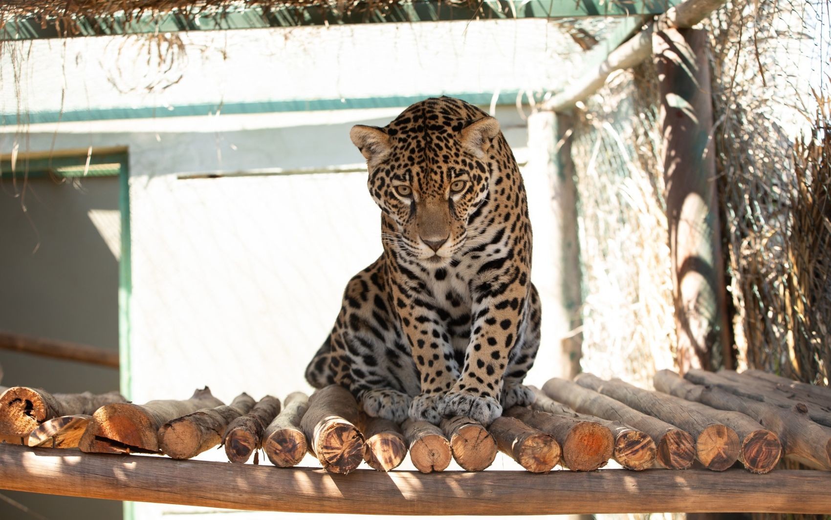 foto Not&iacute;cia Goiânia